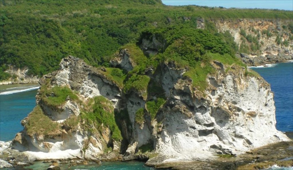 One Day Trip Pulau Burung