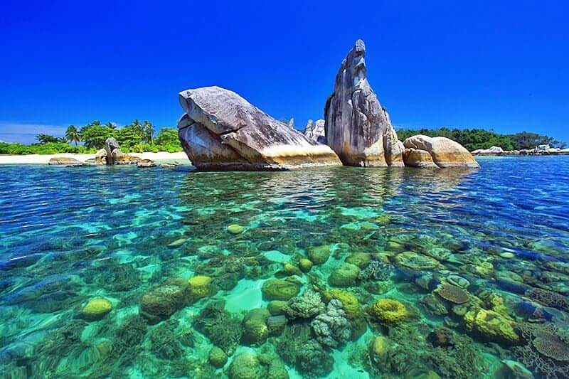 Wisata Belitung Pulau Burung