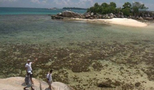 pulau lutong