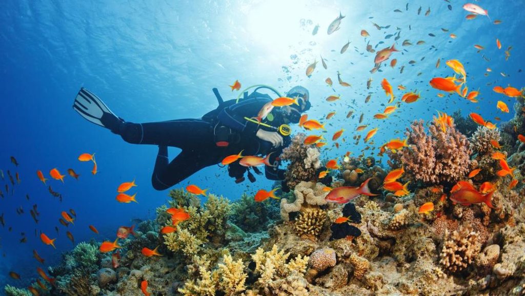 paket diving belitung