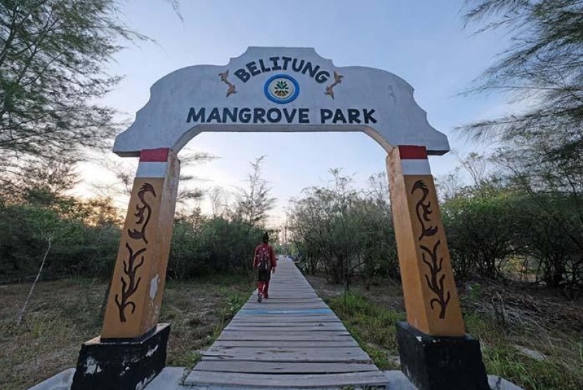 Hutan Mangrove Gusong Bugis
